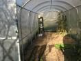 Serre bords droits Ø 32 - 2,30 x 7,50m (17m2) - H2,30m 