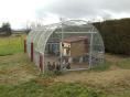 Volière Ø 32 - 3 x 6m (18m2) - H2,30m