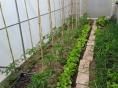 Serre bords droits Ø 32 - 2,30 x 6m (14m2) - H2,30m