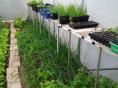 Serre bords droits Ø 32 - 2,30 x 6m (14m2) - H2,30m