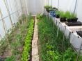 Serre bords droits Ø 32 - 2,30 x 6m (14m2) - H2,30m