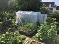 Serre bords droits Ø 32 - 2,30 x 3,60m (8m2) - H2,30m
