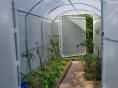 Serre bords droits Ø 32 - 2,30 x 3,60m (8m2) - H2,30m