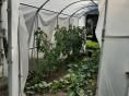 Serre bords droits Ø 32 - 2,30 x 4,50m (10m2) - H2,30m