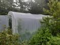 Serre bords droits Ø 32 - 2,30 x 4,50m (10m2) - H2,30m