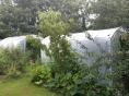 Serre bords droits Ø 32 - 2,30 x 4,50m (10m2) - H2,30m