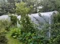 Serre bords droits Ø 32 - 2,30 x 4,50m (10m2) - H2,30m