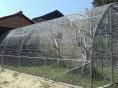 Volière Ø 25 - 3 x 6m (18m2) - H2,10m