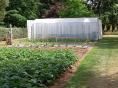 Serre bords droits Ø 40 - 3 x 7,50m (22,5m2) - H2,70m