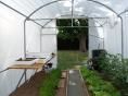 Serre bords droits Ø 40 - 3 x 7,50m (22,5m2) - H2,70m
