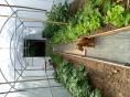 Serre bords droits Ø 40 - 3 x 7,50m (22,5m2) - H2,70m
