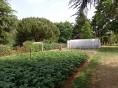 Serre bords droits Ø 40 - 3 x 7,50m (22,5m2) - H2,70m