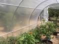 Serre de jardin Ø 25 - 3 x 4,50m (13,50m2) - H2,10m