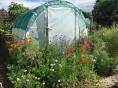 Serre de jardin Ø 32 - 3 x 3,60m (11m2) - H2,30m