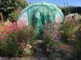 Serre de jardin Ø 32 - 3 x 3,60m (11m2) - H2,30m
