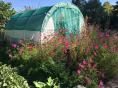 Serre de jardin Ø 32 - 3 x 3,60m (11m2) - H2,30m
