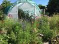 Serre de jardin Ø 32 - 3 x 3,60m (11m2) - H2,30m