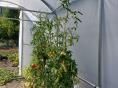 Serre bords droits Ø 40 - 3 x 6m (18m2) - H2,70m