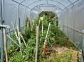 Serre bords droits Ø 40 - 3 x 6m (18m2) - H2,70m
