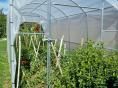 Serre bords droits Ø 40 - 3 x 6m (18m2) - H2,70m