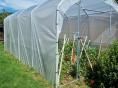 Serre bords droits Ø 40 - 3 x 6m (18m2) - H2,70m