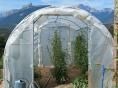 Serre de jardin Ø 32 - 3 x 3,60m (11m2) - H2,30m