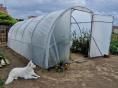 Serre de jardin Ø 40 - 4 x 7,50m (30m2) - H2,70m