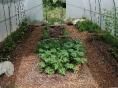 Serre de jardin Ø 40 - 4 x 7,50m (30m2) - H2,70m
