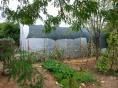 Serre de jardin Ø 40 - 4 x 7,50m (30m2) - H2,70m