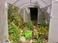 Serre de jardin Ø 32 - 3 x 3,60m (11m2) - H2,30m