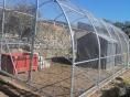 Volière Ø 40 - 4 x 7,50m (30m2) - H2,70m