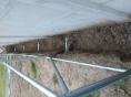 Serre de jardin Ø 40 - 4 x 6m (24m2) - H2,70m