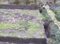 Serre de jardin Ø 32 -  Forme tunnel - 3 x 4,80m (14m2)