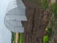 Serre de jardin Ø 25 - Forme tunnel - 3 x 6m (18m2)