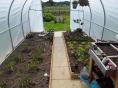 Serre de jardin Ø 32 - Forme tunnel - 3 x 6m (18m2)