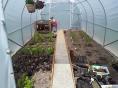 Serre de jardin Ø 32 - Forme tunnel - 3 x 6m (18m2)