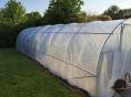 Serre de jardin Ø 25 - Forme tunnel - 3 x 4,50m (13,50m2)