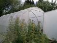 Serre de jardin Ø 32 - Forme tunnel - 3 x 6m (18m2)