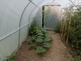 Serre de jardin Ø 25 - Forme tunnel - 3 x 6m (18m2)