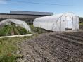 Serre de jardin Resist Plus Ø 40 - Forme bords droits - 5 x 13,50m (67,50m2)