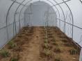 Serre de jardin Resist Classique Ø 32 - Forme tunnel - 3 x 6m (18m2)