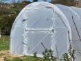 Serre de jardin Resist Classique Ø 32 -  Forme tunnel - 3 x 4,80m (14m2)