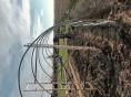 Serre de jardin 4 x7,50m (30m2) - Forme tunnel - Resist Plus
