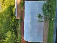 Serre de jardin 2,30 x 4,80m (11m2)  - Forme bords droits -Résist