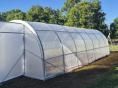 Serre de jardin 4 x 10,50m (42m2) - Forme tunnel - Resist Plus