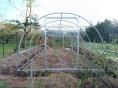 Serre de jardin 4 x 9m (36m2) - Forme tunnel - Resist Plus