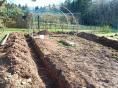 Serre de jardin 4 x 9m (36m2) - Forme tunnel - Resist Plus