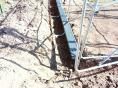 Serre de jardin 4 x 9m (36m2) - Forme tunnel - Resist Plus