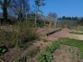 Serre de jardin 4 x 9m (36m2) - Forme tunnel - Resist Plus