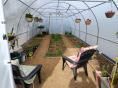 Serre de jardin 4 x 9m (36m2) - Forme tunnel - Resist Plus